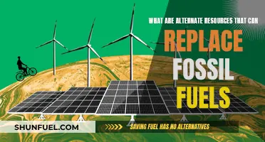 Exploring Viable Alternatives to Fossil Fuels