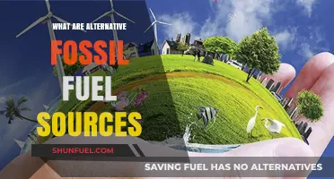 Exploring Alternative Energy Sources Beyond Fossil Fuels