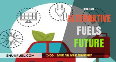 Exploring the Future of Alternative Fuels: Innovations and Sustainability