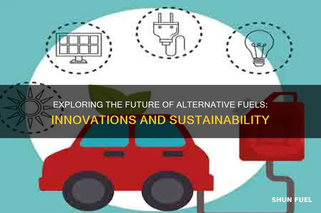 what are alternative fuels future