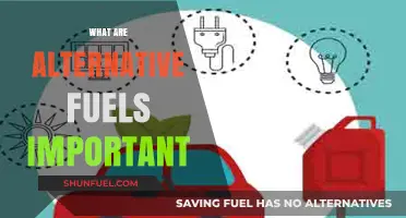 Why Alternative Fuels Are Crucial for a Sustainable Future
