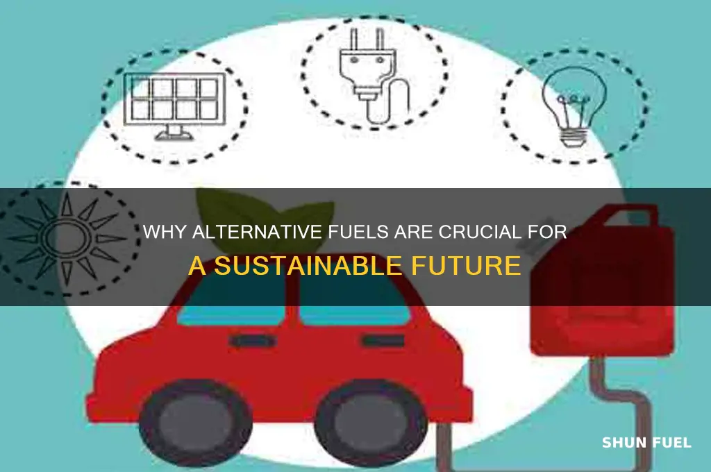 what are alternative fuels important