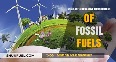 Exploring Alternative Energy Sources Beyond Fossil Fuels