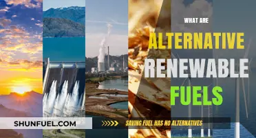 Exploring Alternative Renewable Fuels: Sustainable Energy Solutions for a Greener Future