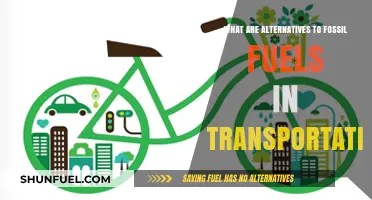 Exploring Sustainable Transportation: Fossil Fuel Alternatives