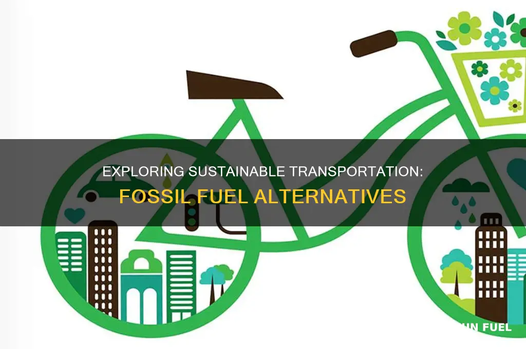 what are alternatives to fossil fuels in transportation