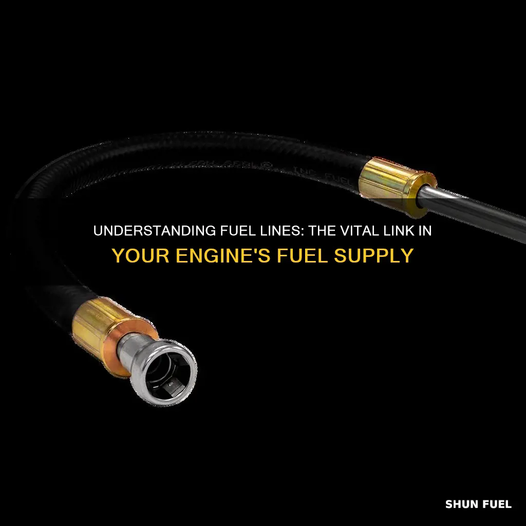 what are an fuel lines