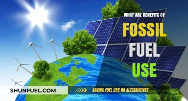 Fossil Fuels: Powering Our World, Pros and Cons