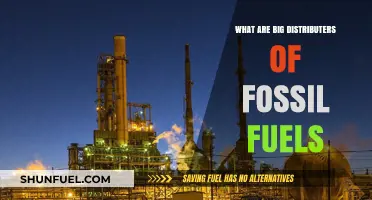 Big Fossil Fuel Distributors: Who Are They?
