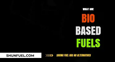 Exploring Bio-Based Fuels: Sustainable Energy Alternatives for a Greener Future