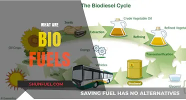 Understanding Biofuels: Sustainable Energy Sources and Their Environmental Impact