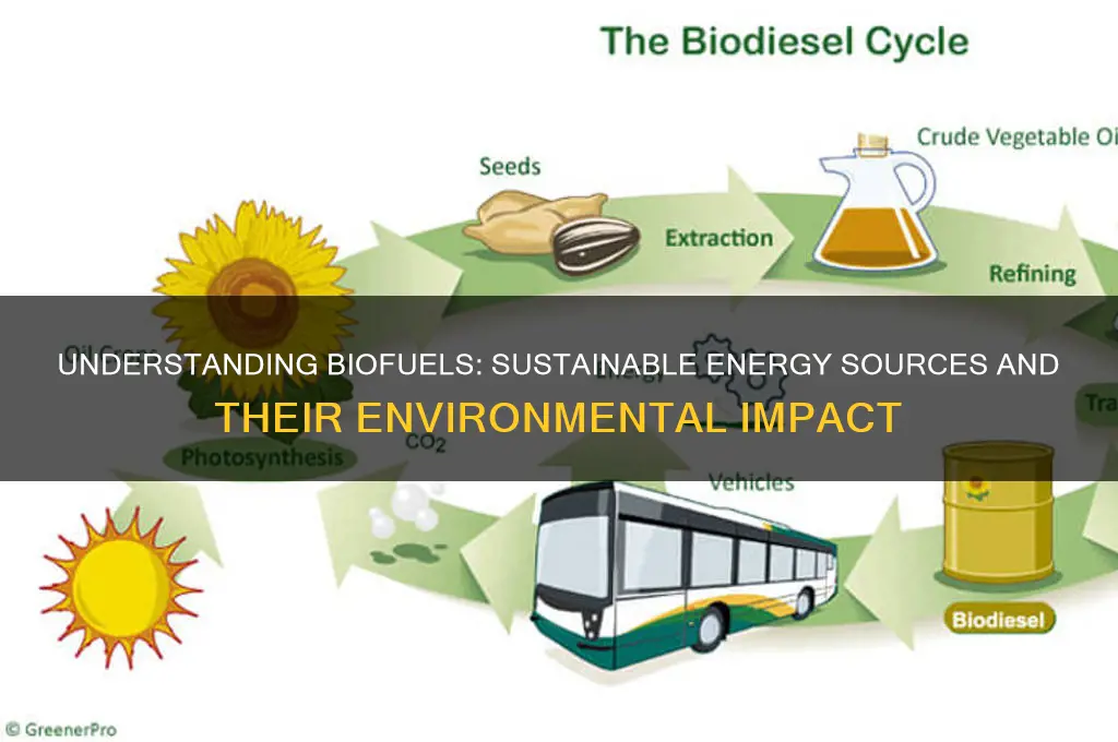 what are bio fuels
