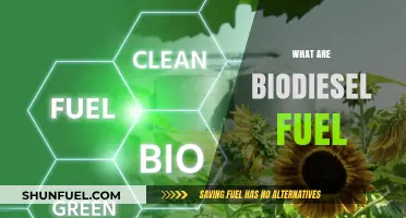 Understanding Biodiesel Fuel: Eco-Friendly Alternative to Traditional Diesel