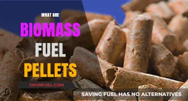 Understanding Biomass Fuel Pellets: Eco-Friendly Energy Source Explained