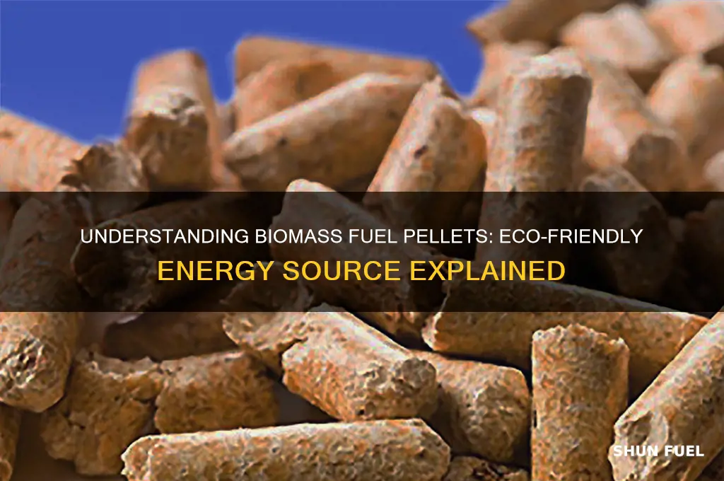 what are biomass fuel pellets
