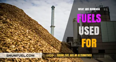 Exploring Biomass Fuels: Uses, Benefits, and Sustainable Energy Applications