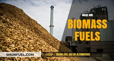 Understanding Biomass Fuels: Sustainable Energy Sources and Their Benefits