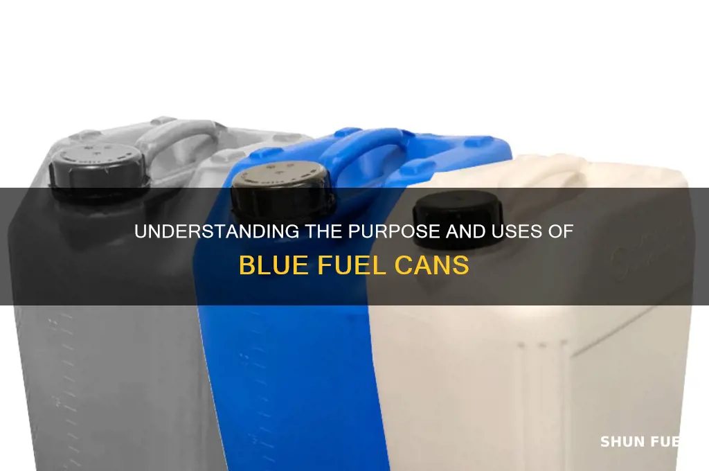 what are blue fuel cans for