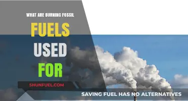 Fossil Fuels: Powering Our World, But at What Cost?