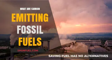 Fossil Fuels: Carbon Emissions and Our Future