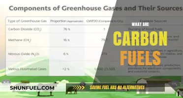 Understanding Carbon Fuels: Sources, Impact, and Sustainable Alternatives Explained
