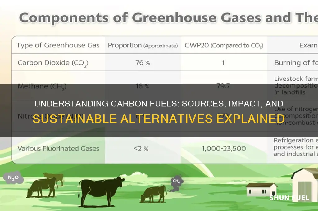 what are carbon fuels