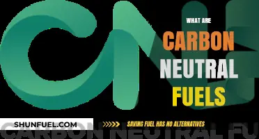 Understanding Carbon Neutral Fuels: Clean Energy for a Sustainable Future