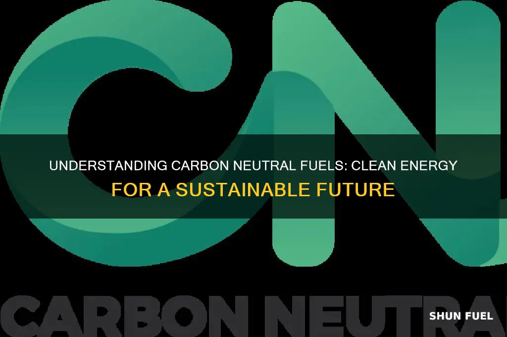 what are carbon neutral fuels