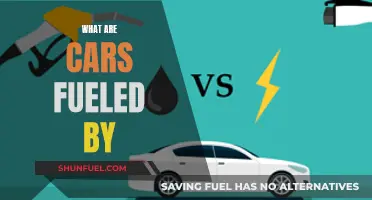 Cars Fueled by What? Exploring Alternative Fuels for Vehicles