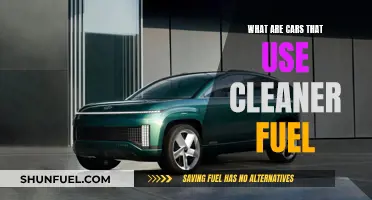 Cleaner Fuel Cars: What Are Your Options?
