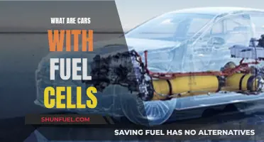Fuel Cell Cars: Powering the Future of Transportation