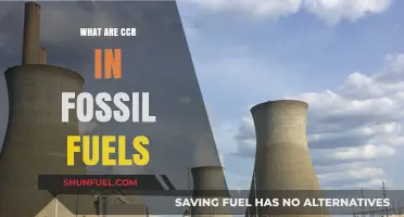 Fossil Fuels' CCR: What You Need to Know