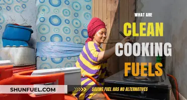 Clean Cooking Fuels: Sustainable Energy Solutions for Healthier Homes