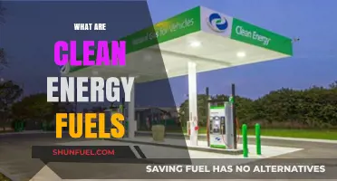 Exploring Clean Energy Fuels: Sustainable Alternatives for a Greener Future