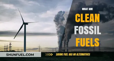 Fossil Fuels: Clean or Greenwashed?