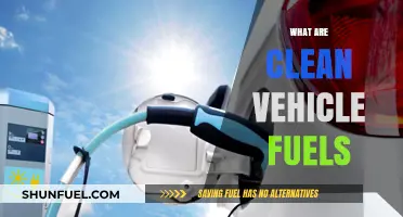 Exploring Clean Vehicle Fuels: Sustainable Alternatives for Greener Transportation