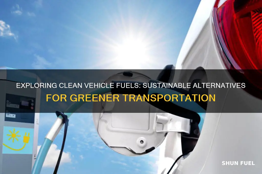 what are clean vehicle fuels