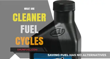 Cleaner Fuel Cycles: Sustainable Energy Solutions for a Greener Future