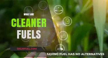 Cleaner Fuels: Sustainable Energy Solutions for a Greener Future