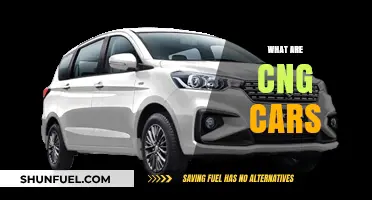 Exploring the Eco-Friendly World of CNG-Powered Vehicles