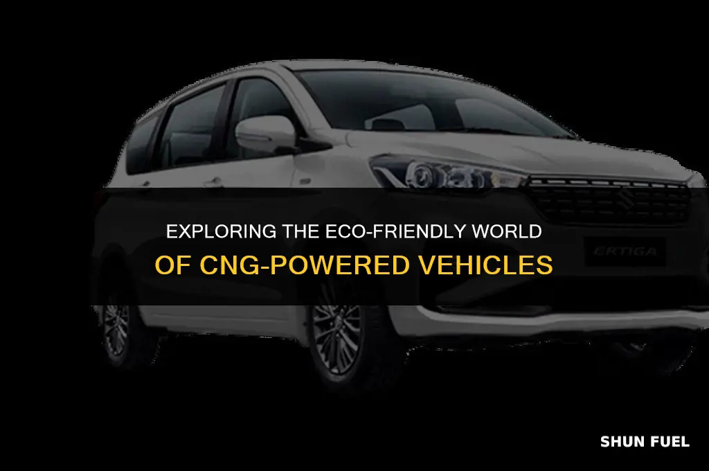 what are cng cars