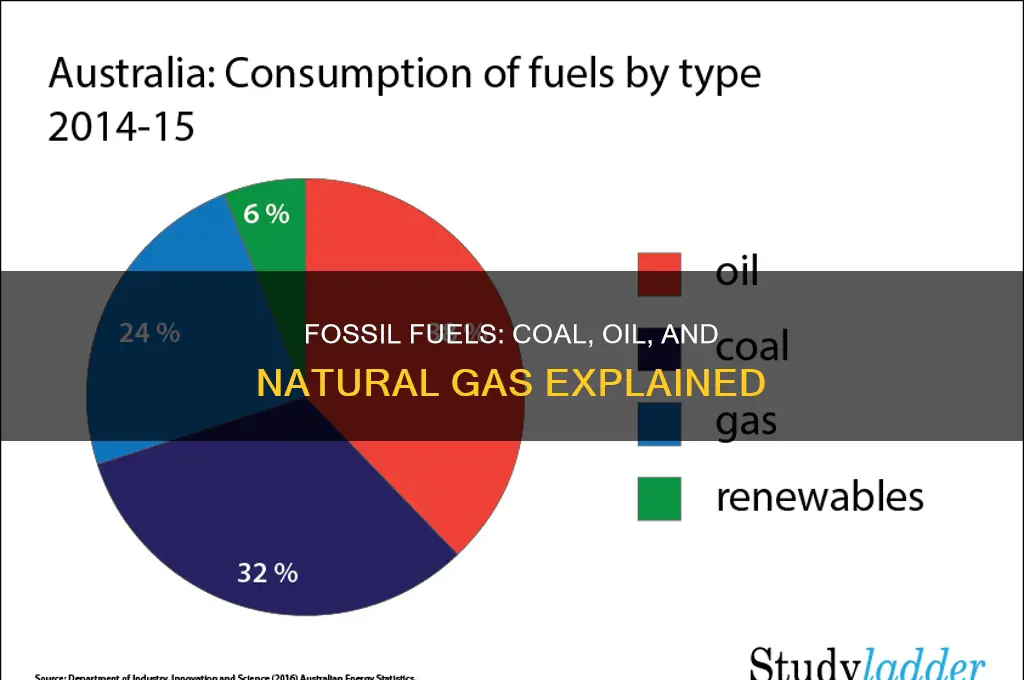 what are coal oil and natural gas called fossil fuels