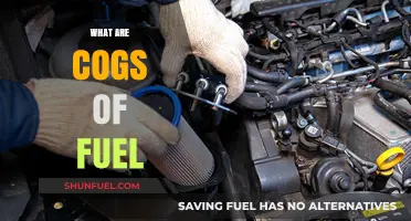 Understanding the Essential Cogs of Fuel: Components and Functions Explained