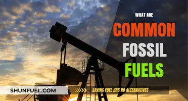 Fossil Fuels: Common Energy Sources and Their Impacts