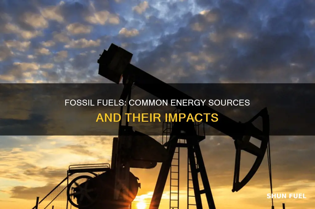 what are common fossil fuels