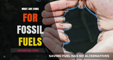 Fossil Fuels: Harmful, Costly, and Inefficient