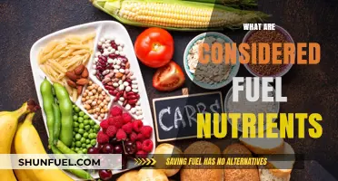 Fuel Nutrients: Essential Macronutrients Powering Your Body's Energy Needs