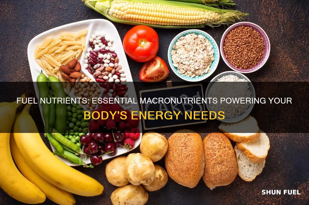 what are considered fuel nutrients