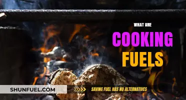 Exploring Cooking Fuels: Types, Uses, and Sustainable Options for Kitchens