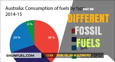 Fossil Fuels: Exploring the Different Types and Their Uses